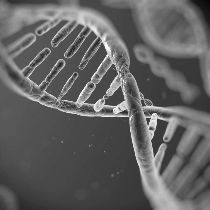 3CC | Third Culture Capital